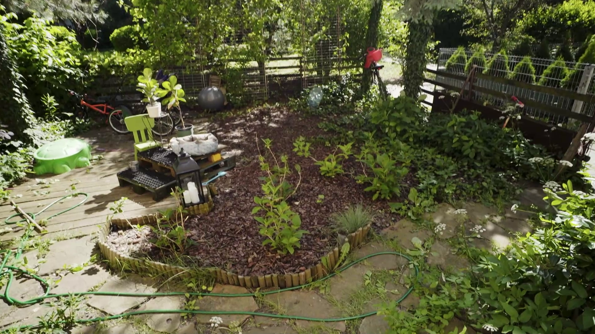 "Polowanie na ogród": w ogródku Kasi rządzą chwasty